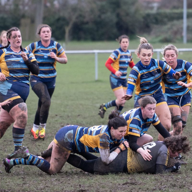 Photo of Ladies 1st XV vs Lordswood Home