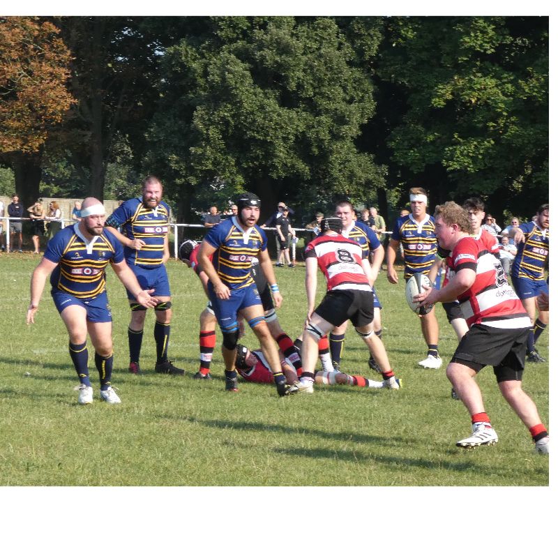 Photo of 1st XV vs Maidstone Home