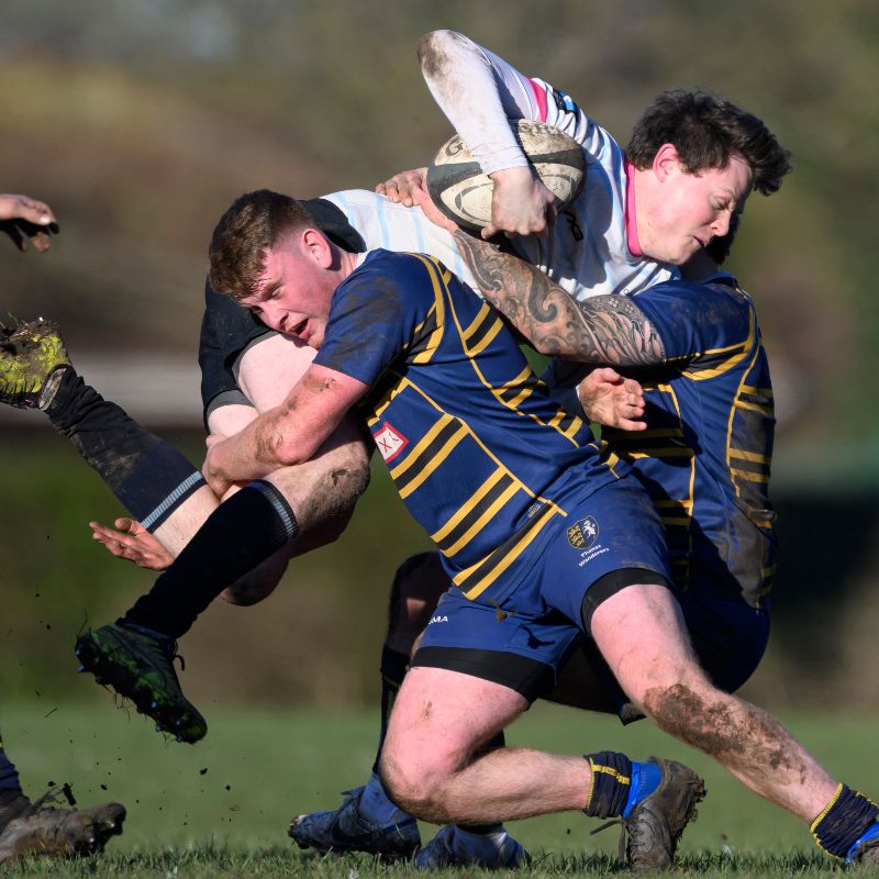 Photo of 1st XV vs Old Alleynians Home